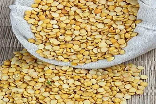 تصویر 4 از خرید و قیمت لپه تبریزی برتر آرتمیس + فروش عمده